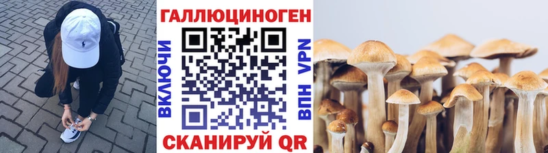 Псилоцибиновые грибы Psilocybine cubensis  Ковылкино 